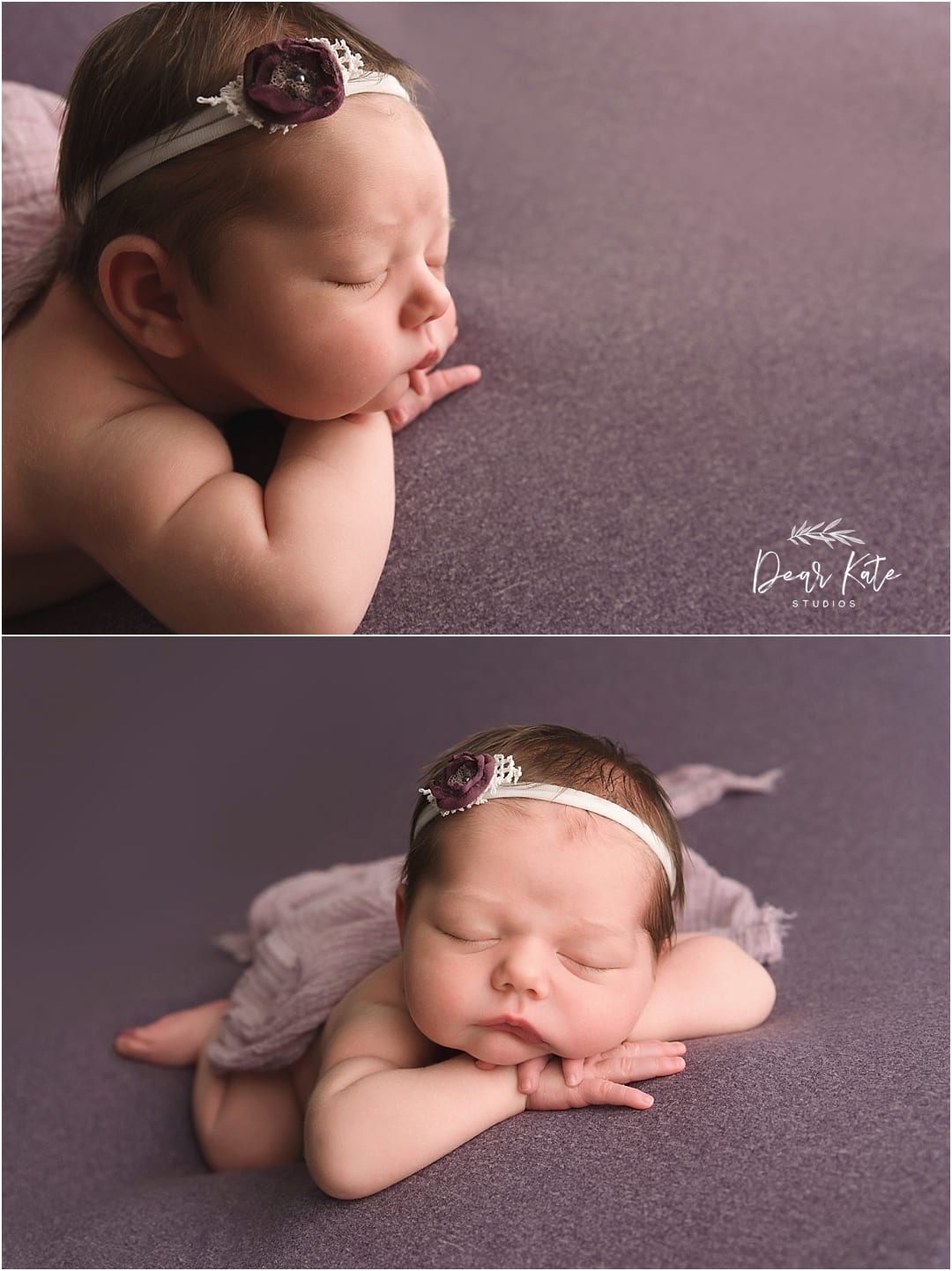Wellington Colorado Baby Pictures