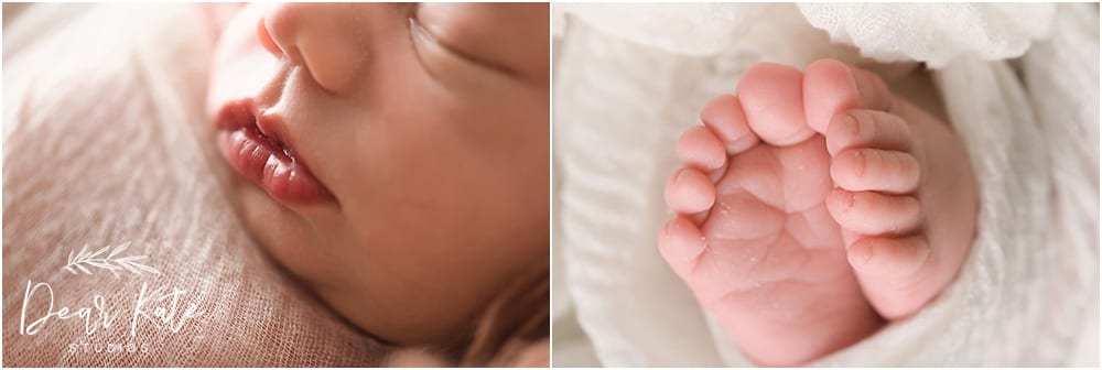 loveland newborn photographer baby details