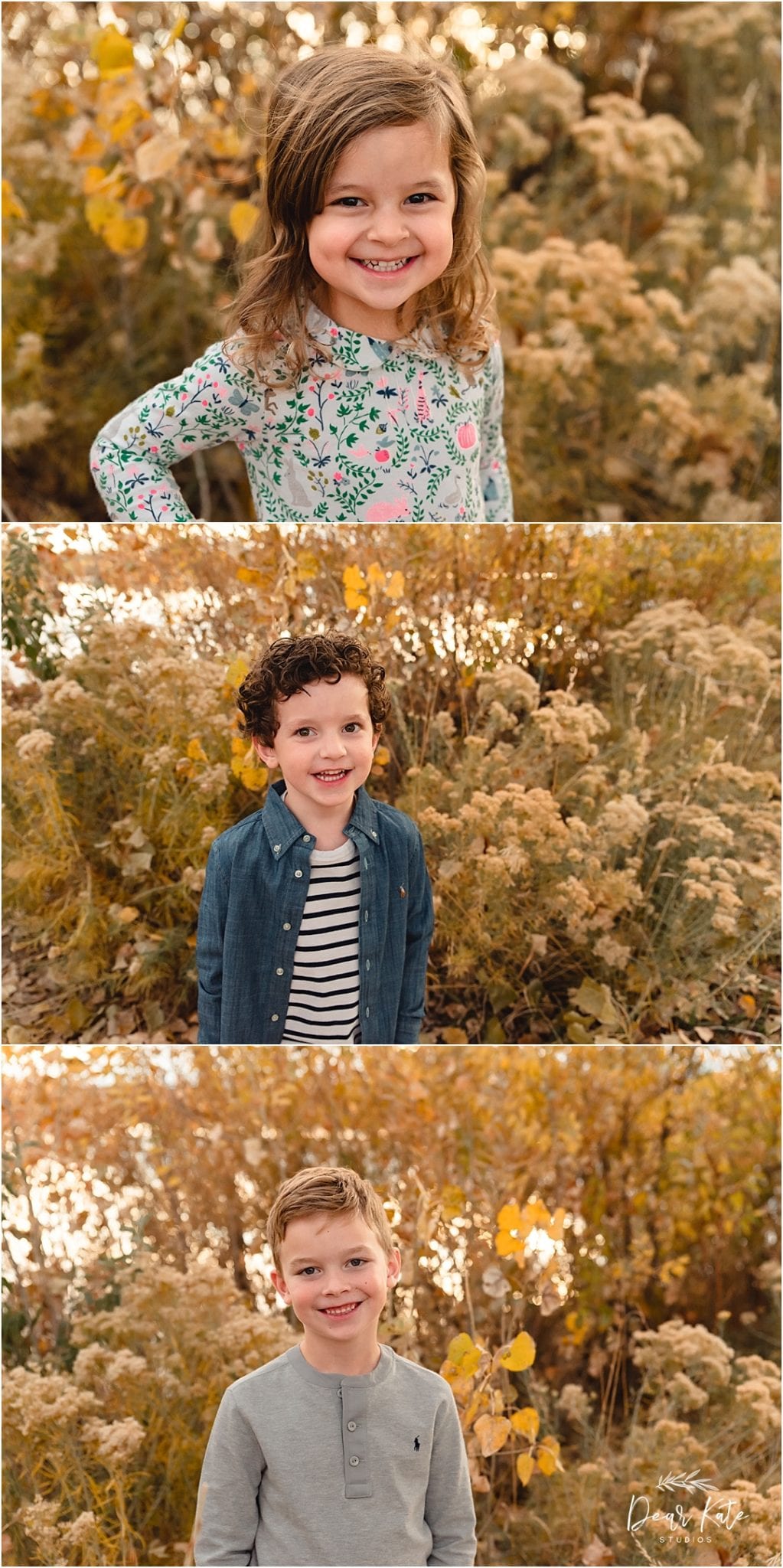 Loveland Colorado Children's portraits