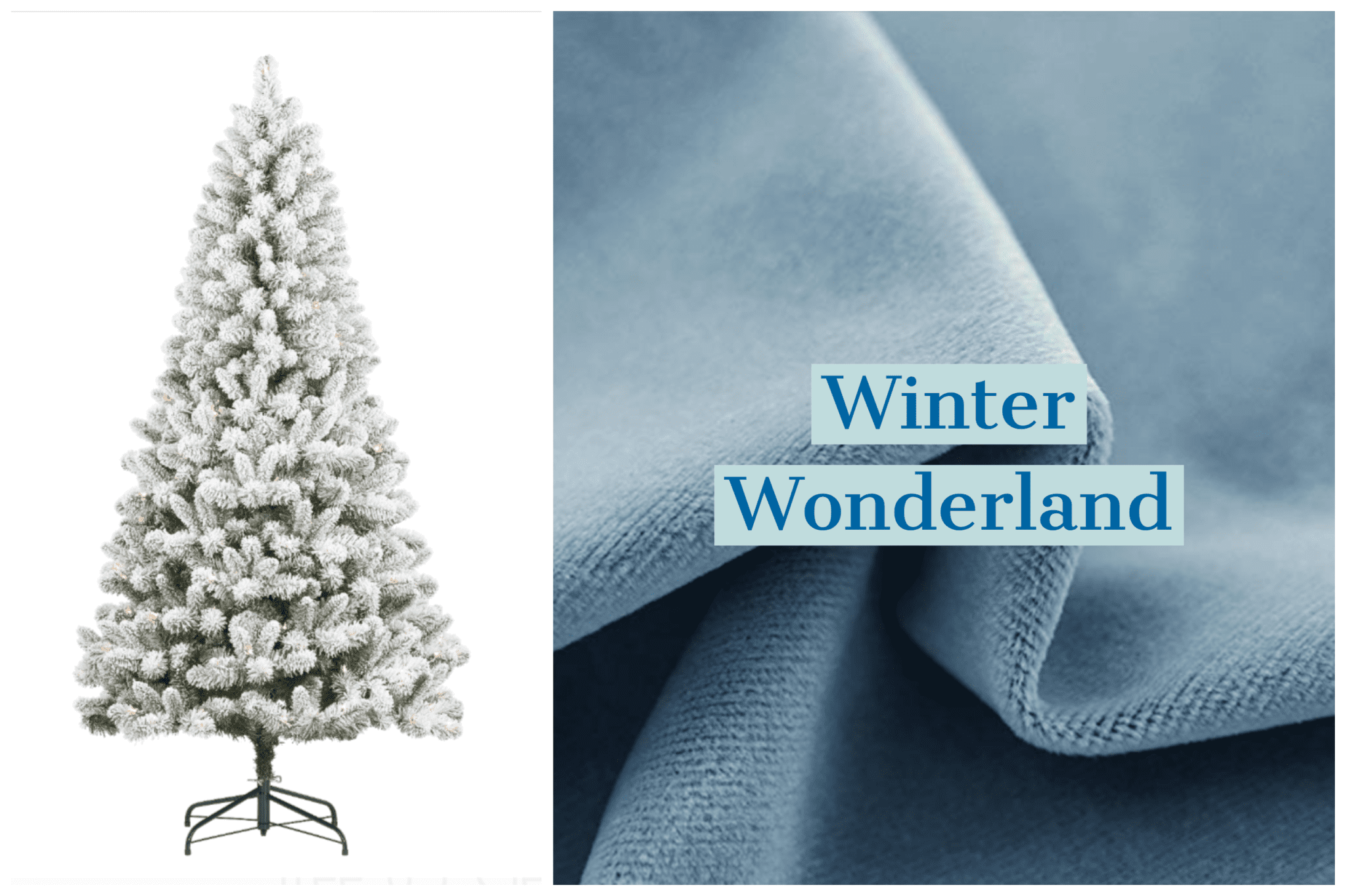 Winter wonderland mini sessions